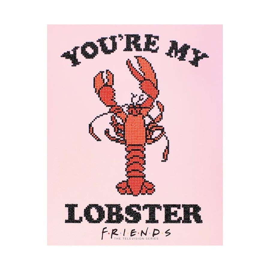 Diamond Dotz - Friends - You're My Lobster - 32cm x 40cm