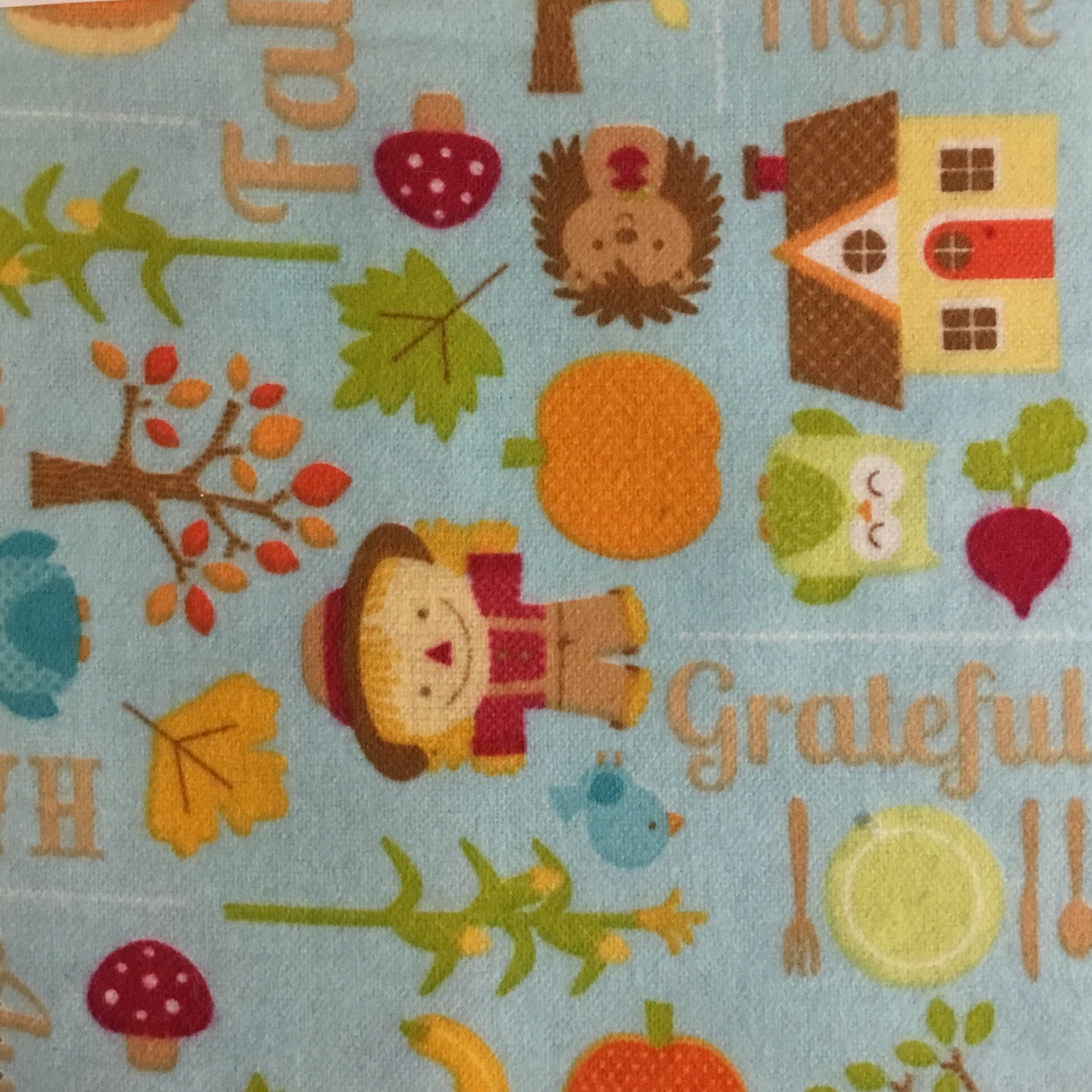 Riley Blake designs - Happy Harvest - F4030 - 2 Colours, Cream and Blue - 100% Cotton Flannel - You’ve Got Me In Stitches