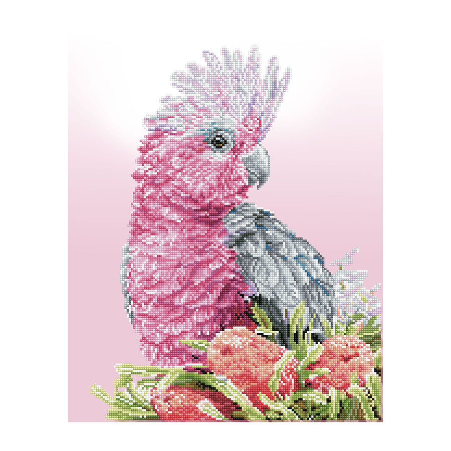 Diamond Dotz - Pink Galah & Banksias (Carlie Edwards) - 41 x 51 cm