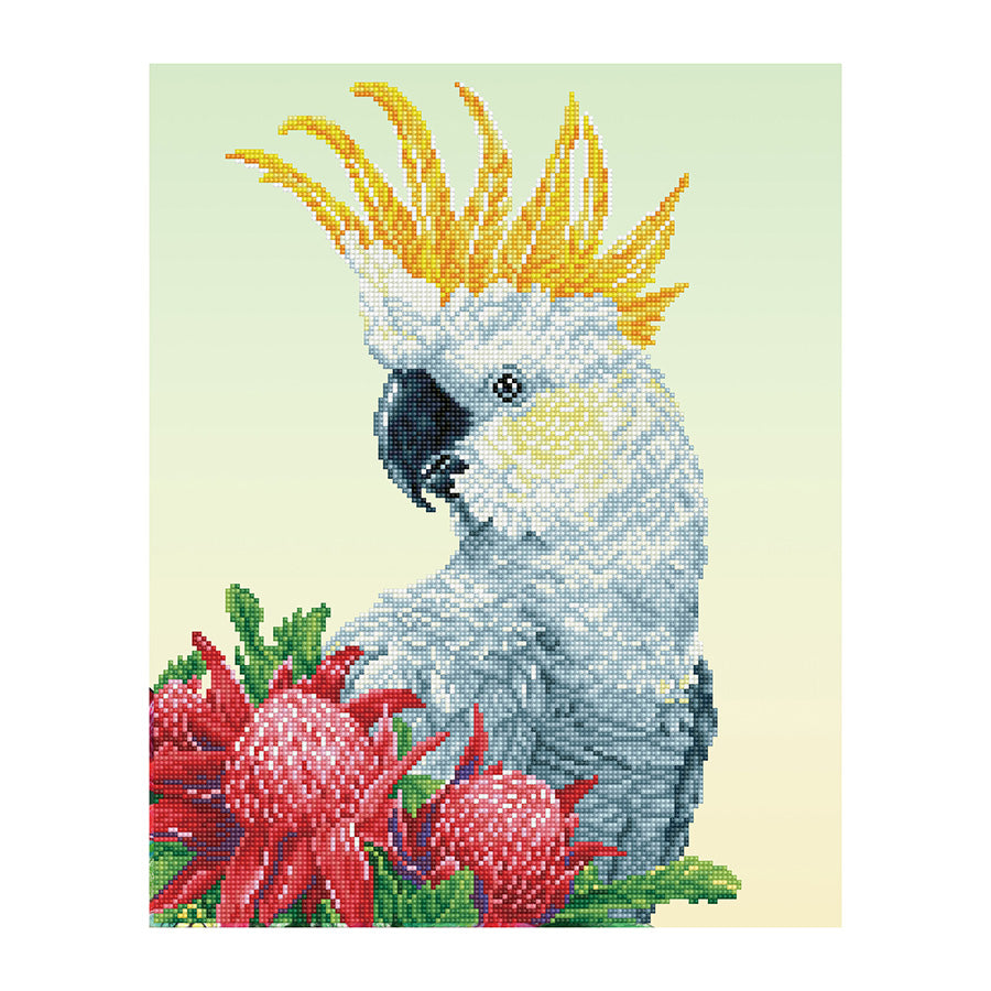 Diamond Dotz - White Cockatoo & Warathas (Carlie Edwards) - 41 x 51 cm