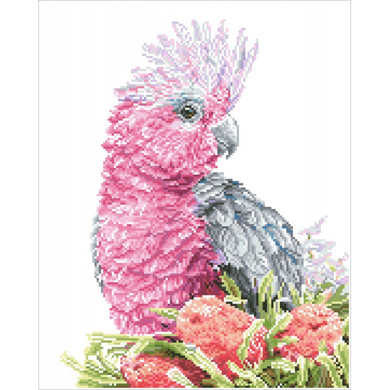 Diamond Dotz - Pink Galah & Banksias (Carlie Edwards) - 41 x 51 cm