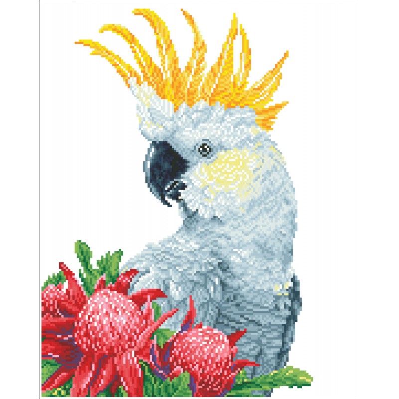 Diamond Dotz - White Cockatoo & Warathas (Carlie Edwards) - 41 x 51 cm