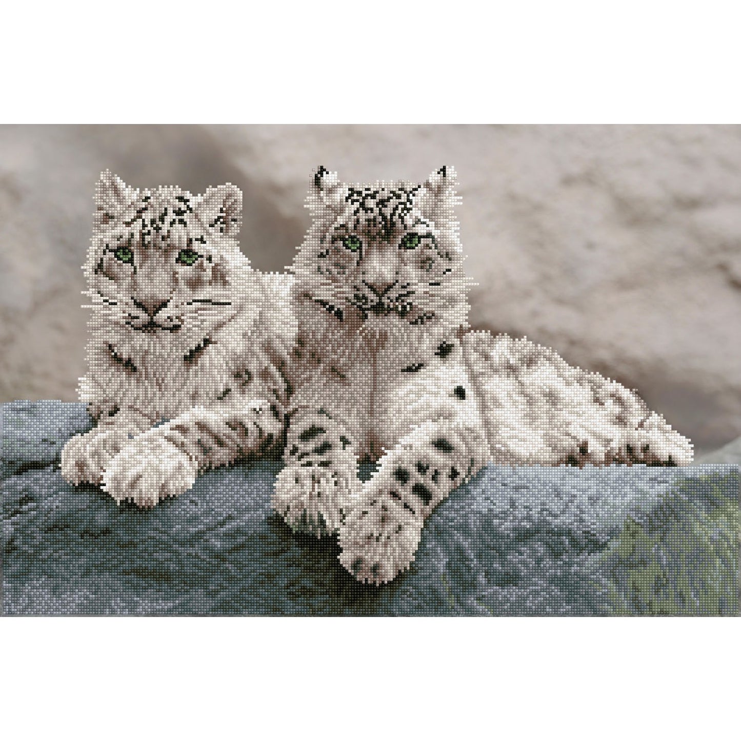 Diamond Dotz - Snow Leopards Hemis National Park, Kashmir, India - 50 x 75 cm