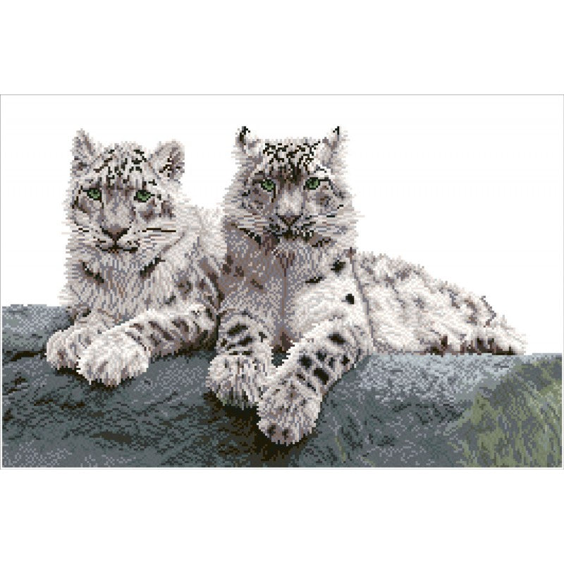 Diamond Dotz - Snow Leopards Hemis National Park, Kashmir, India - 50 x 75 cm