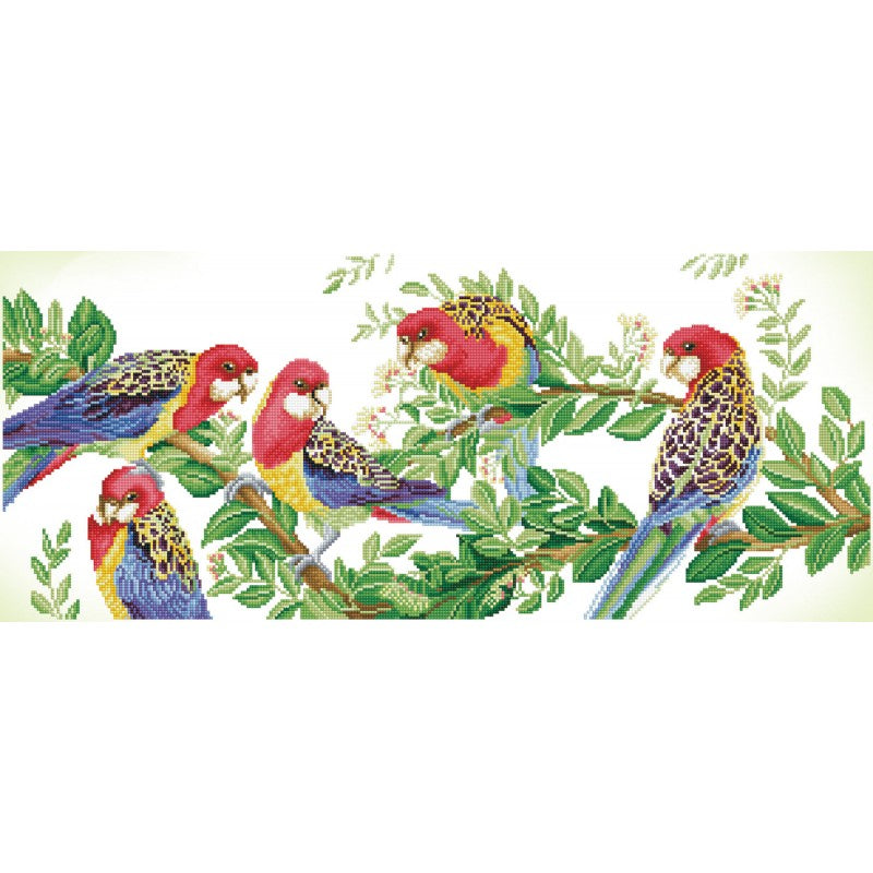 Diamond Dotz - Eastern Rosella Gathering - 87 x 37cm