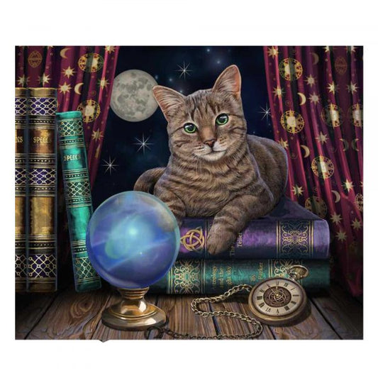 Craft Buddy - Crystal Art LED Picture - 40cm x 50cm - Fortune Teller