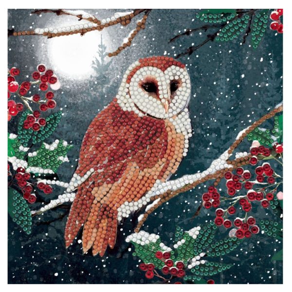 Craft Buddy - Crystal Art - Card Kit - 18cm x 18cm - Barn Owl