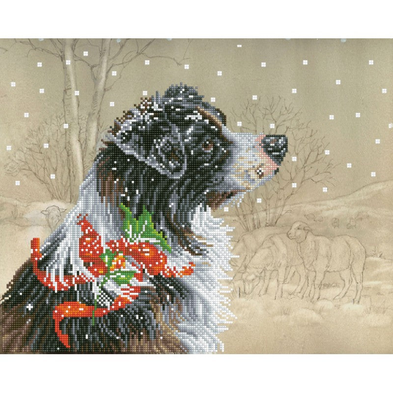 Diamond Dotz - Christmas Collie - 50 x 40cm - You’ve Got Me In Stitches